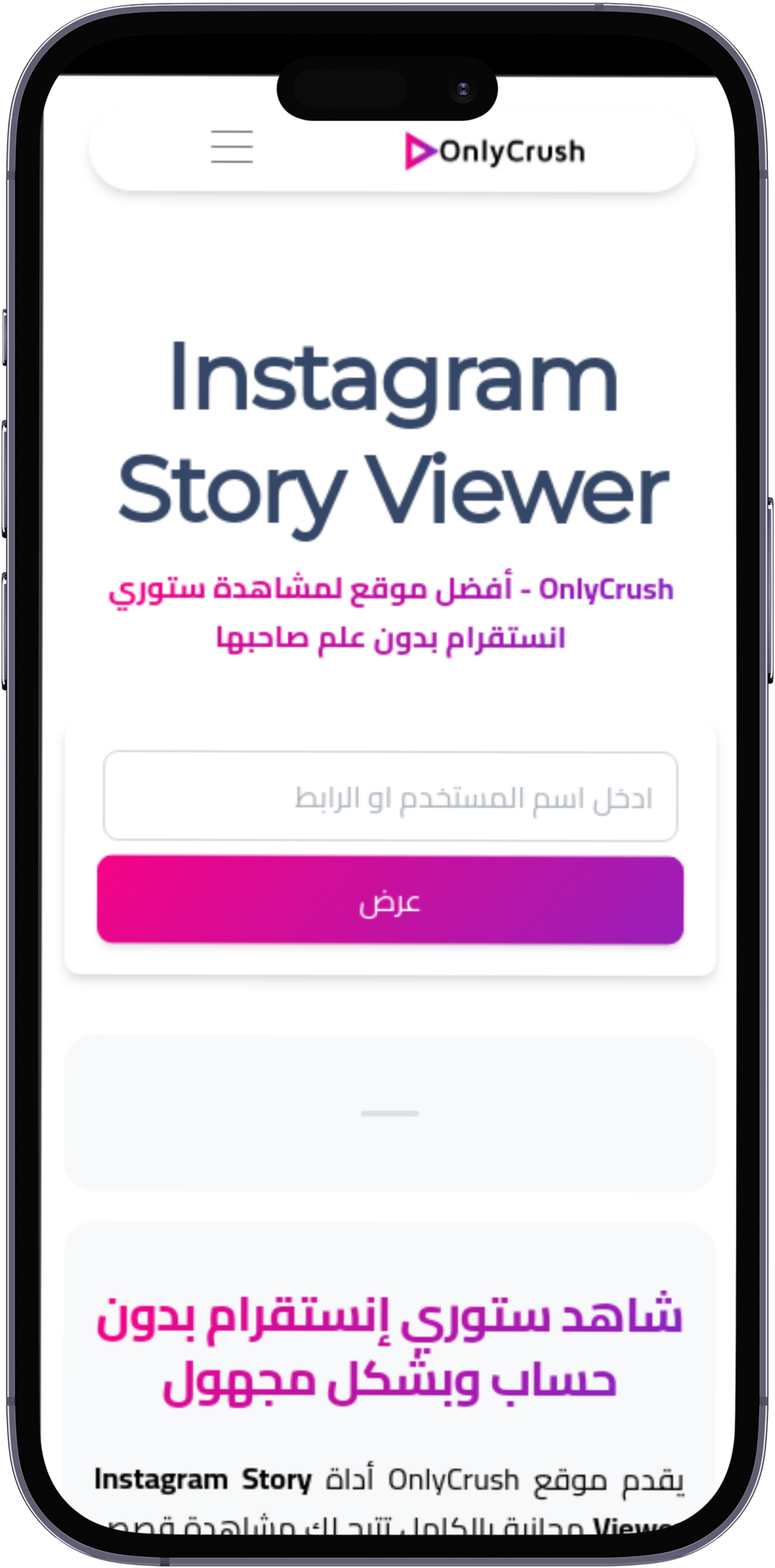 Instagram Story Viewer واجهة عربية