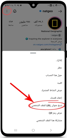 صفحة الملف الشخصي على Instagram